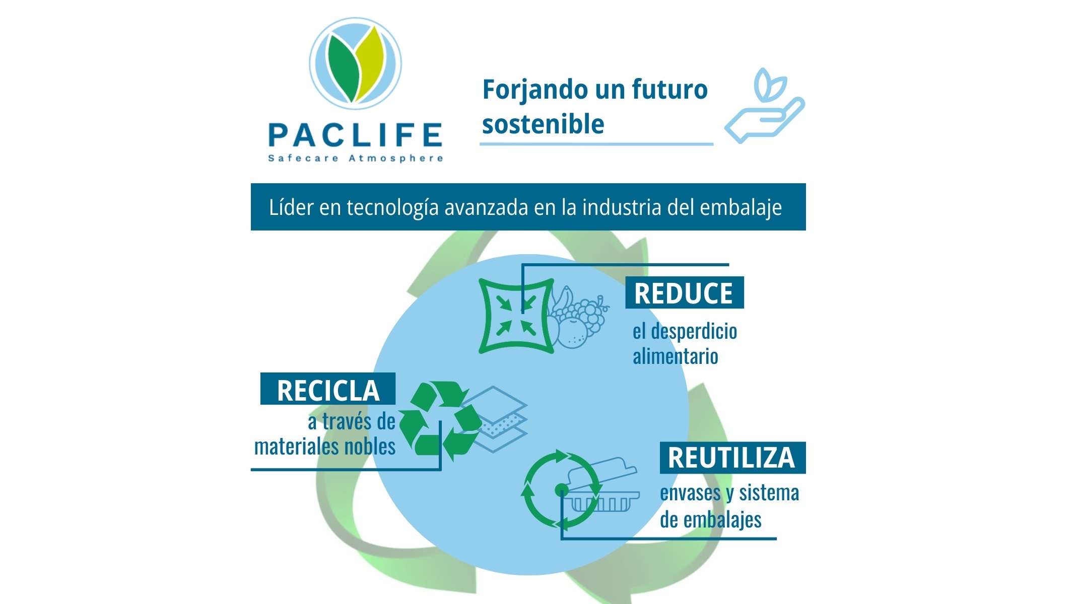 Paclife, forjando un futuro sostenible en la industria del embalaje.jpg